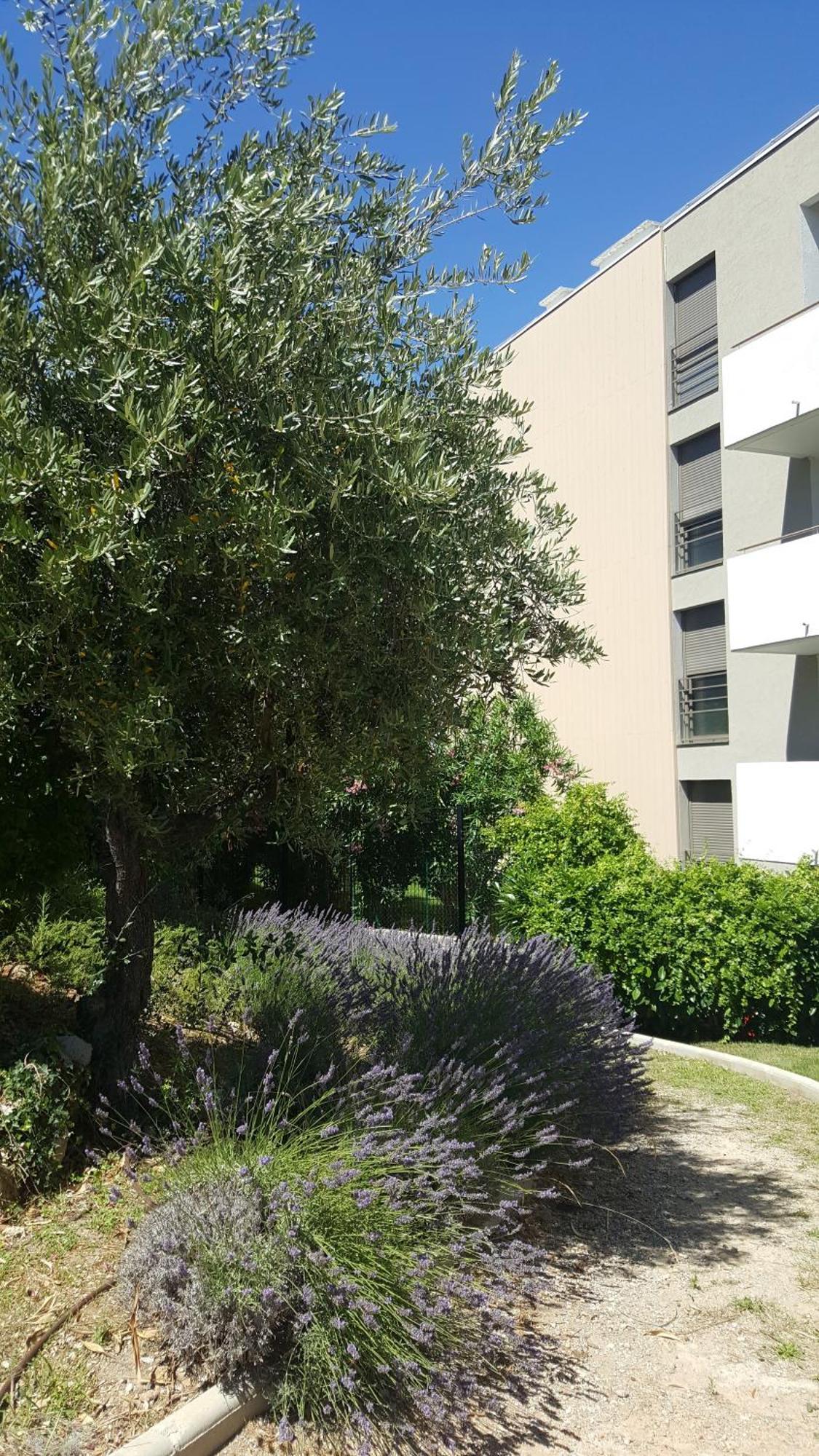 Studio Vista Antibes Exterior foto